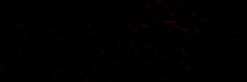 Notch banner