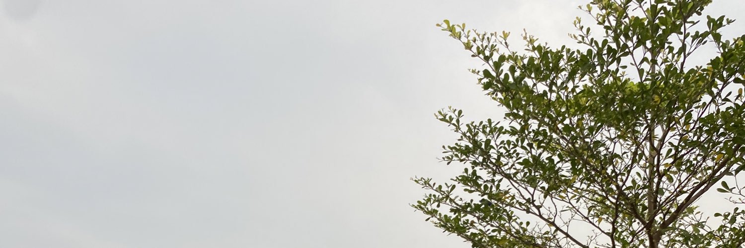 bypipel's profile banner image