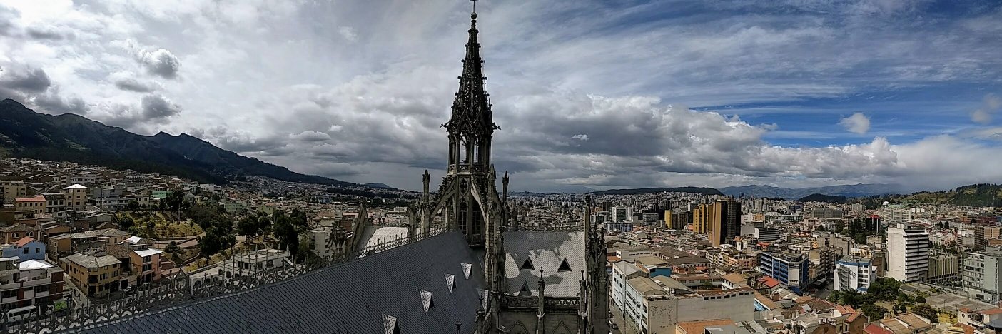 Bruce Johnson banner