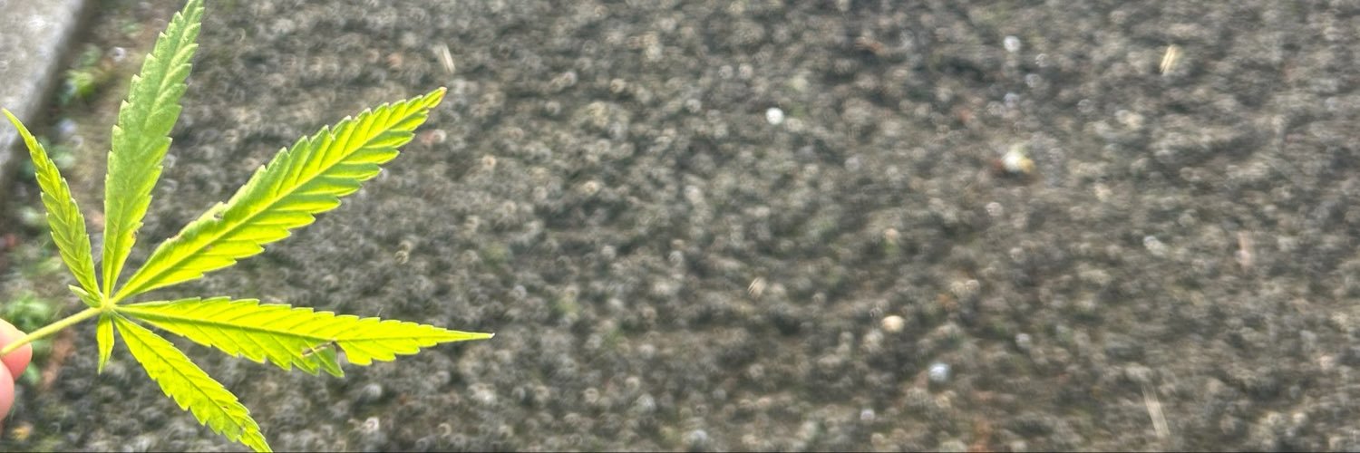 lulkskkj's profile banner image