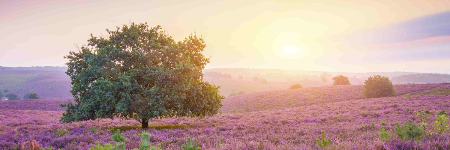 CatherineAvh139's profile banner image