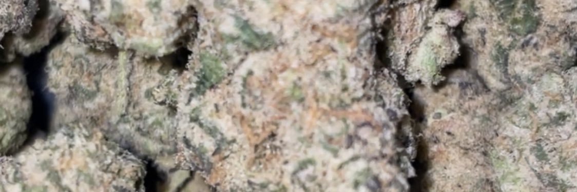 houstongasplug's profile banner image