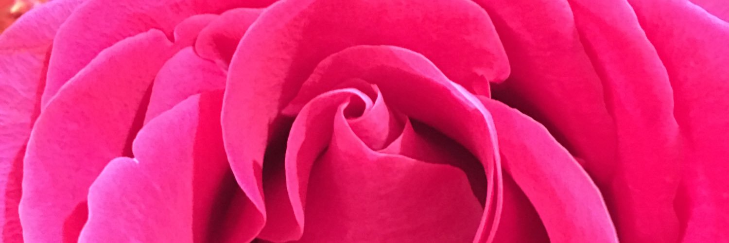 SusanMelenchuk's profile banner image