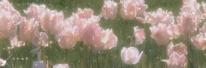 __oreosheess's profile banner image