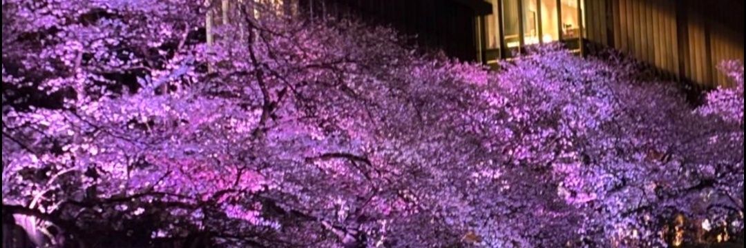 フラワータイムは5分前 banner