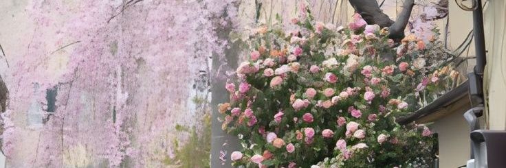 Andbottomy's profile banner image