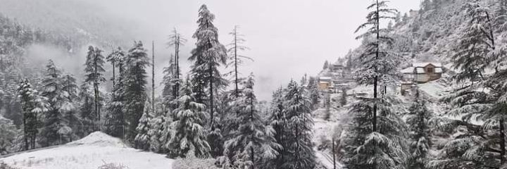 kkustaad's profile banner image