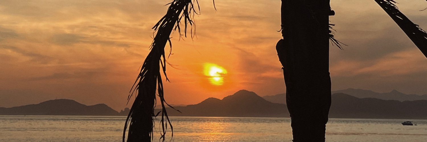 bella banner