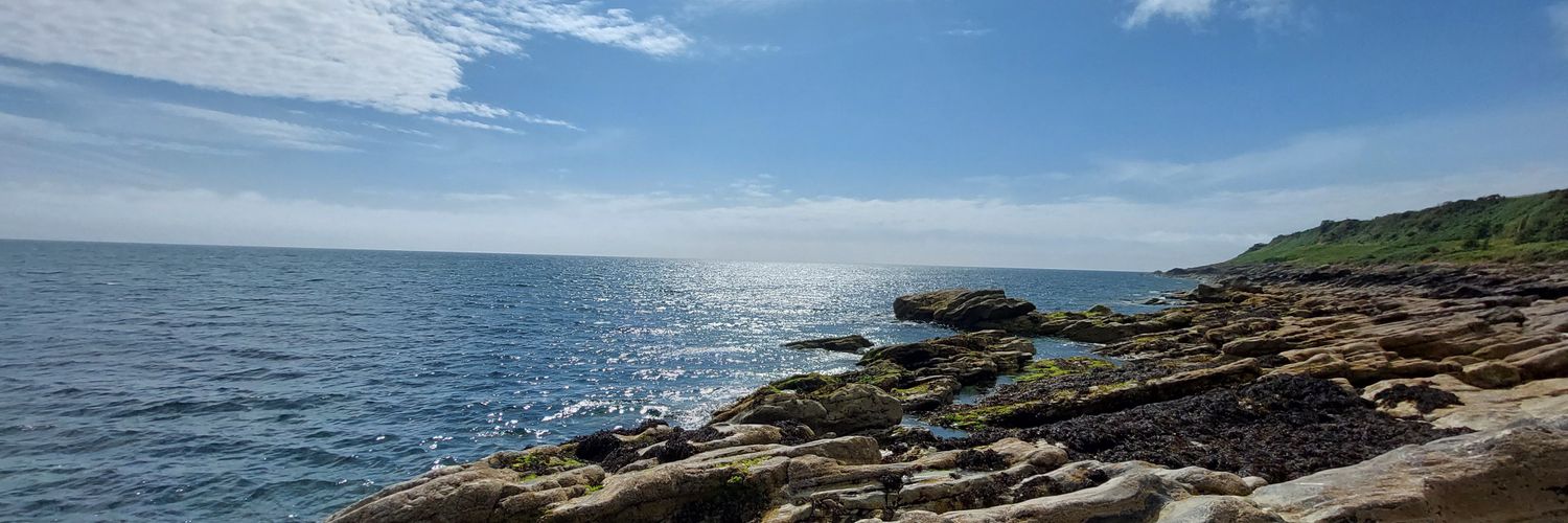 NicholaGreer's profile banner image