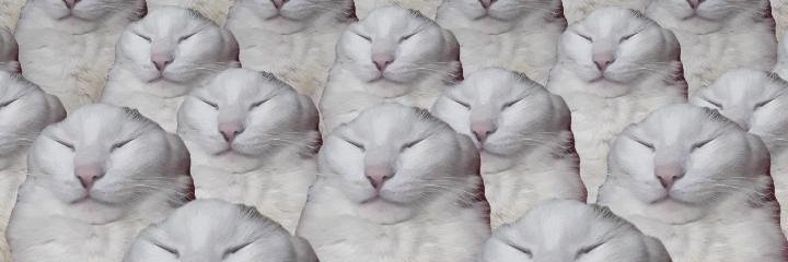 youallthematter's profile banner image
