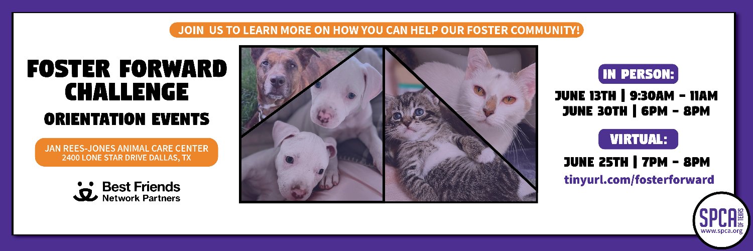 spcaoftexas's profile banner image