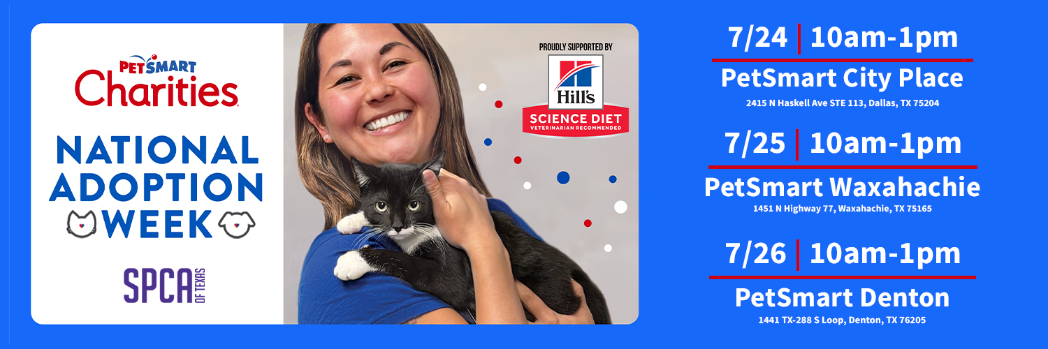 spcaoftexas's profile banner image