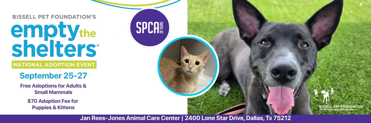 spcaoftexas's profile banner image