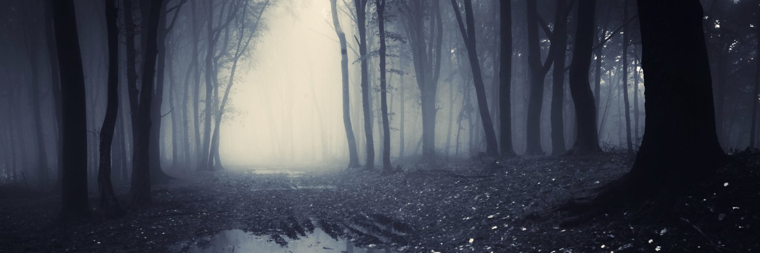 maxguzman12's profile banner image