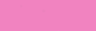 echan banner
