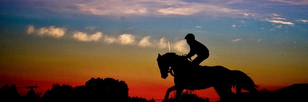 Insignia Thoroughbreds banner