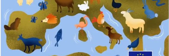 climahub's profile banner image