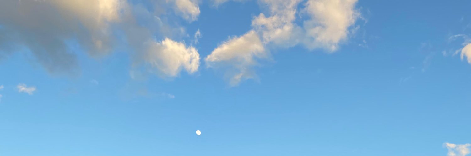 TanDantesca's profile banner image