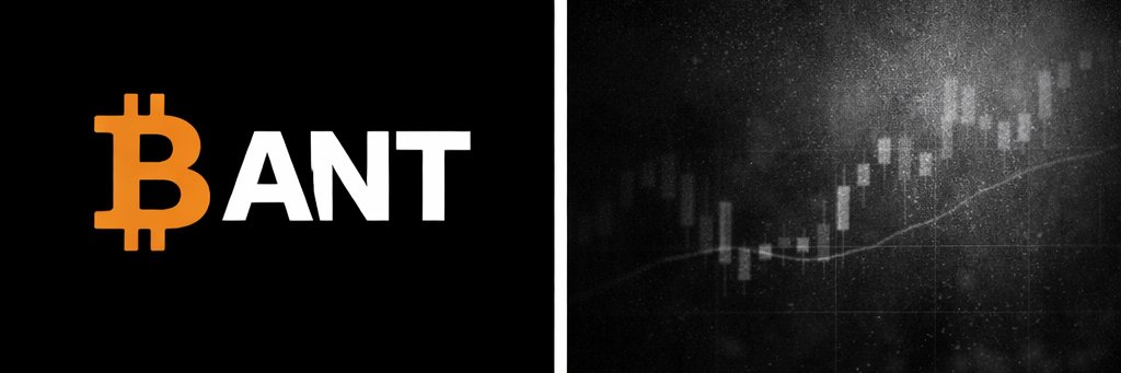 Ant_OnChain's profile banner image