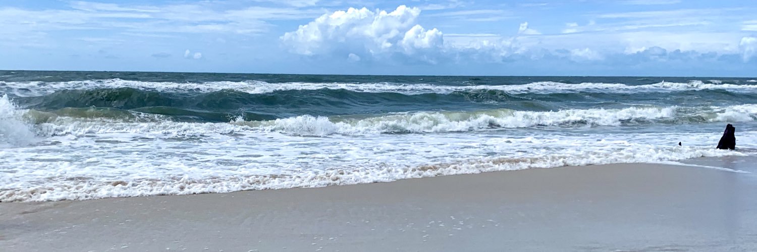 ashlynkendall's profile banner image