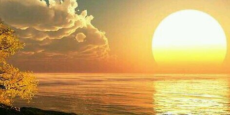 nono_11113's profile banner image