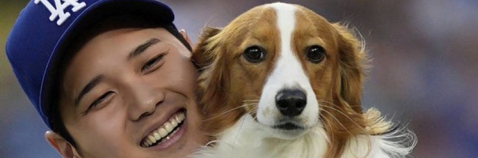 🌸memetani🌸 banner