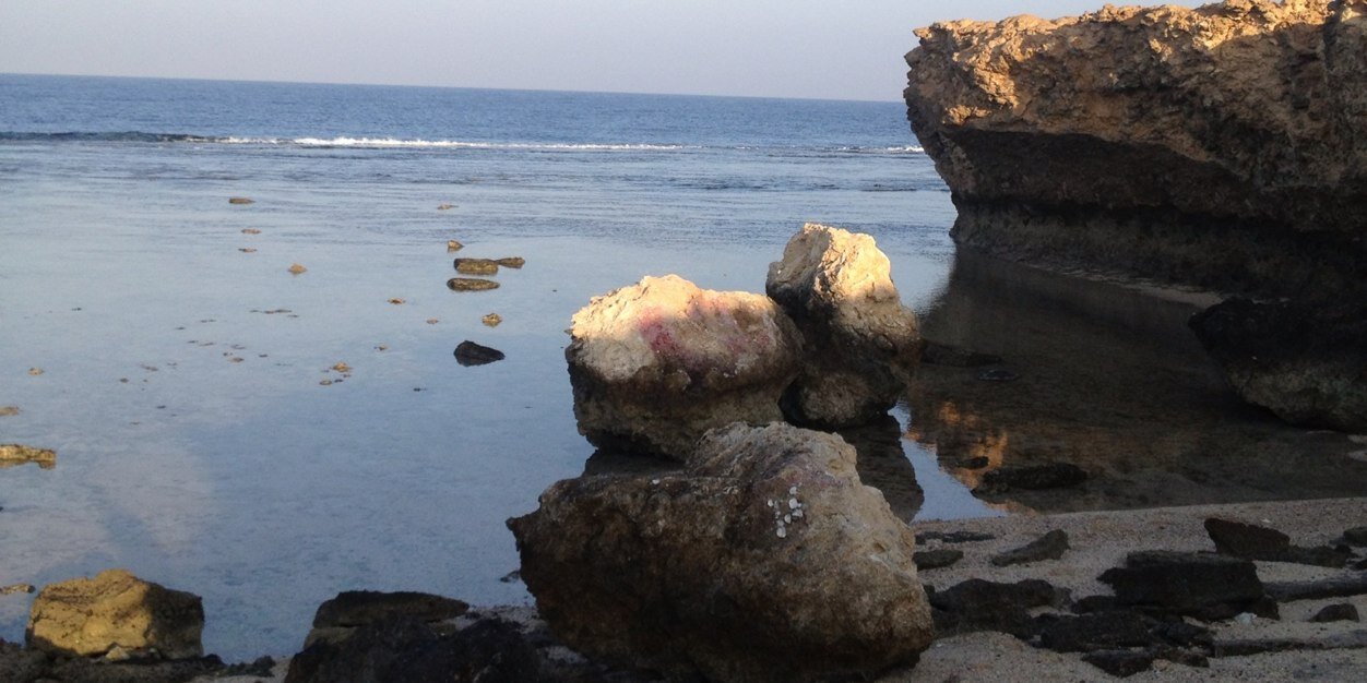 albader_aaa's profile banner image
