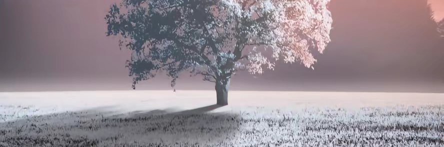 SHEminet0810's profile banner image