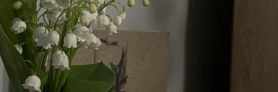 VQuyen05's profile banner image