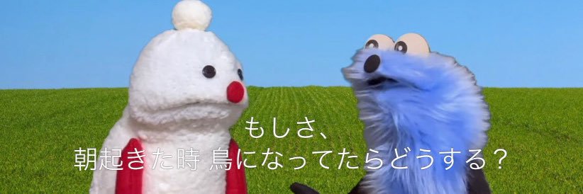 せいら banner