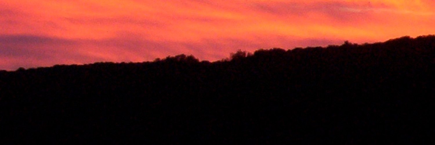 RomanticShorts's profile banner image