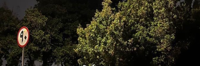 P_N79's profile banner image