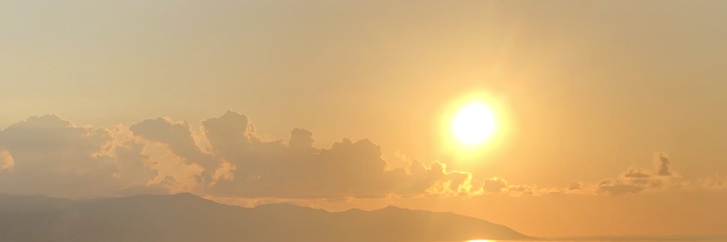 🐈‍⬛🐈‍⬛ banner