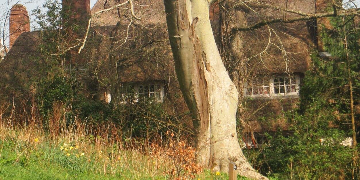 DeanHenryBrogan's profile banner image