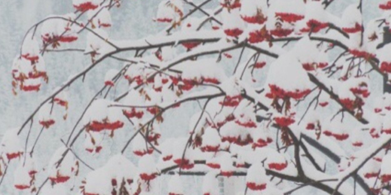 asscaster's profile banner image
