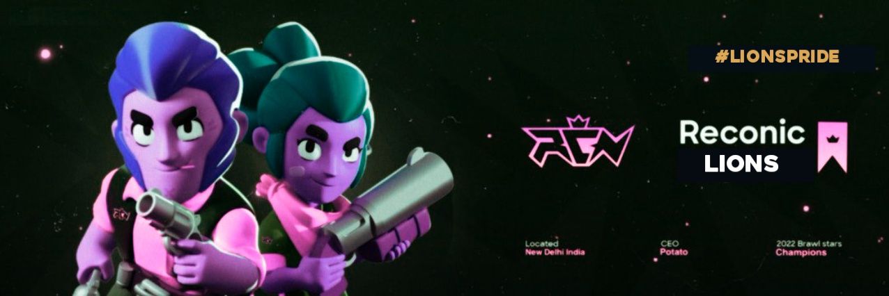 Reconic Lions banner