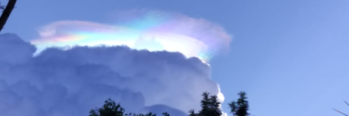Ching34133's profile banner image