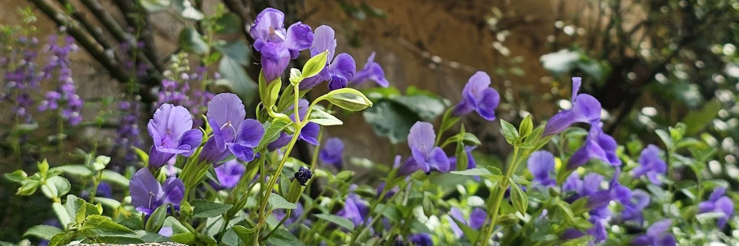 湊斗【交換垢】 banner