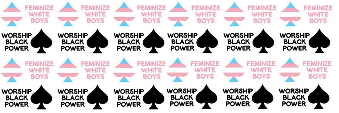 NiggerAddict's profile banner image