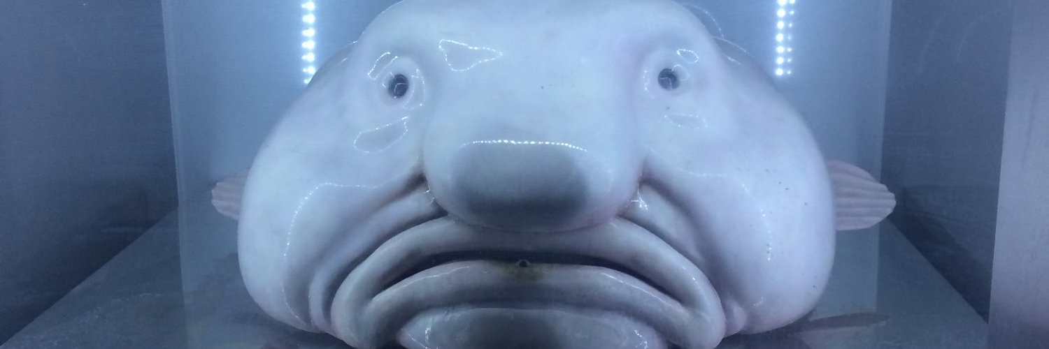 くしゃがら banner