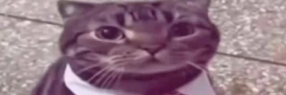 hatbrat11's profile banner image