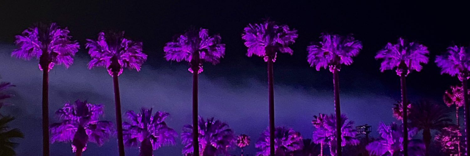 viddhi_m's profile banner image