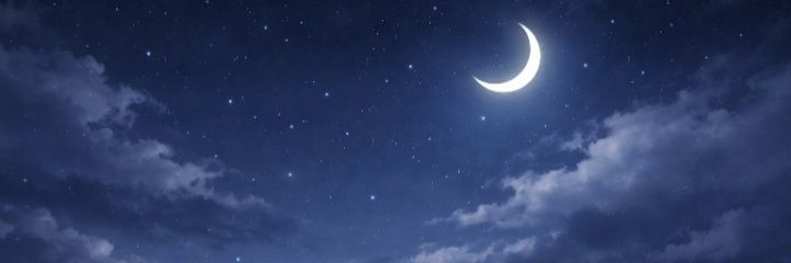 ちさと banner