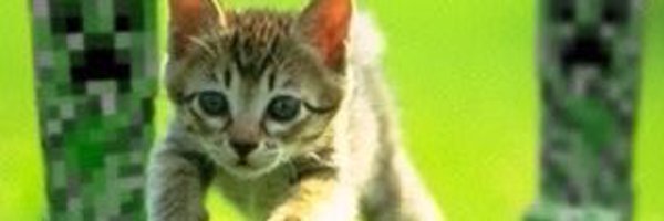 blancwired Profile Banner