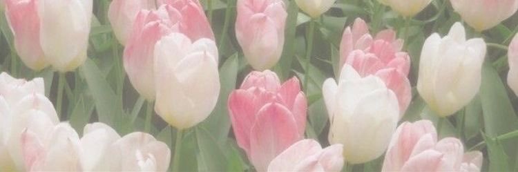 aleyasprkles's profile banner image