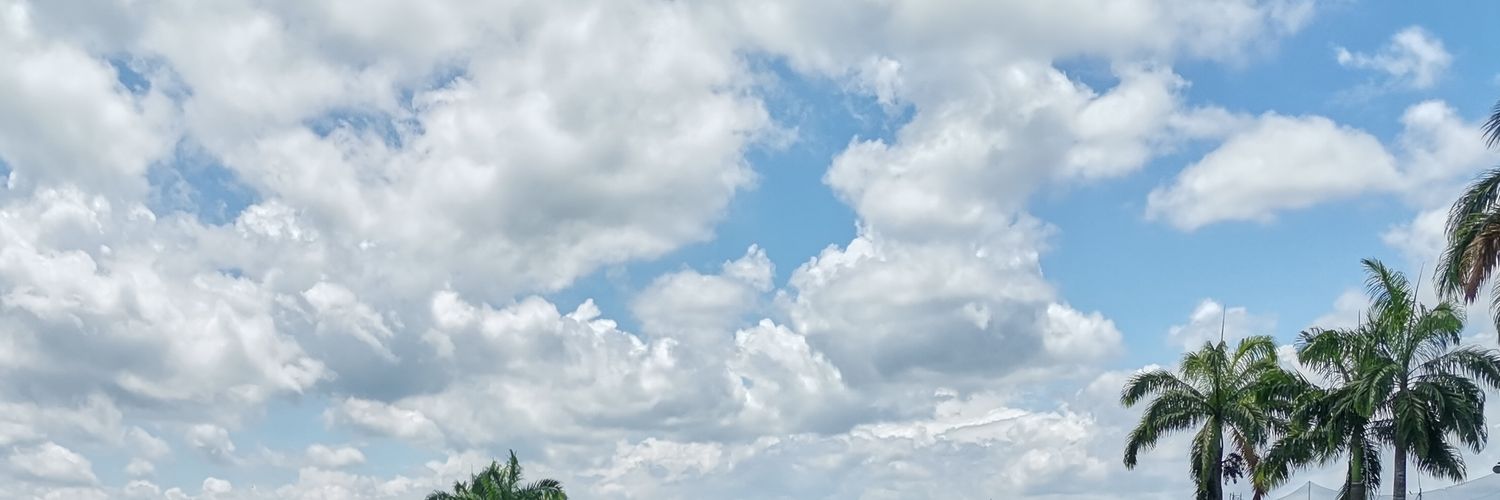 Pollito402021's profile banner image