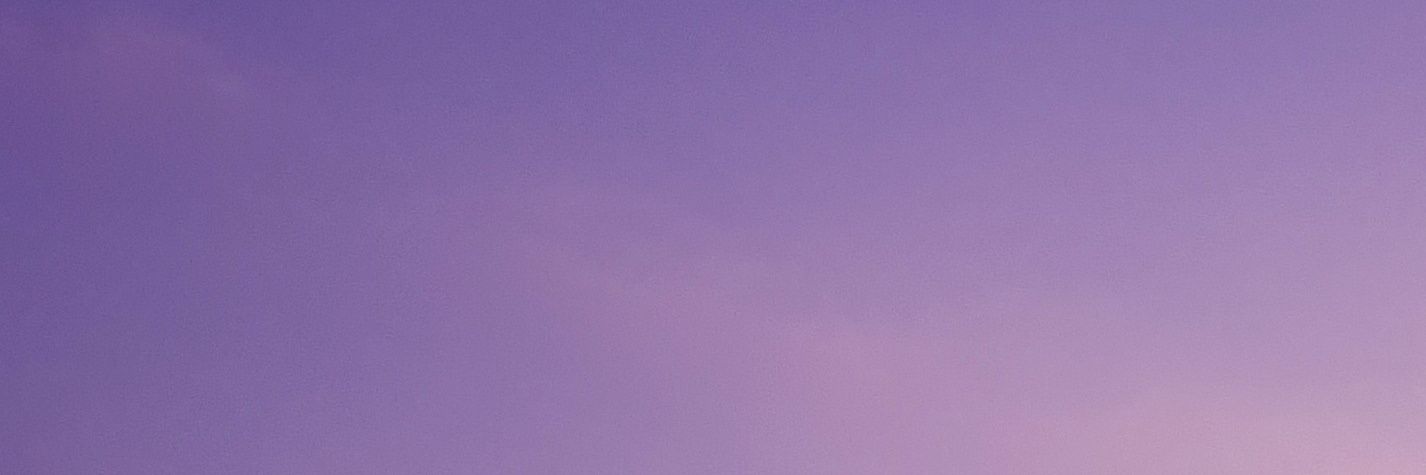 pridge_nz's profile banner image