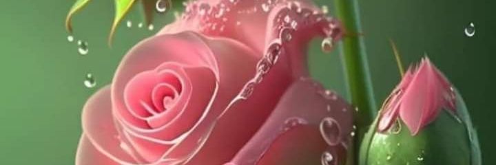 Ali banner