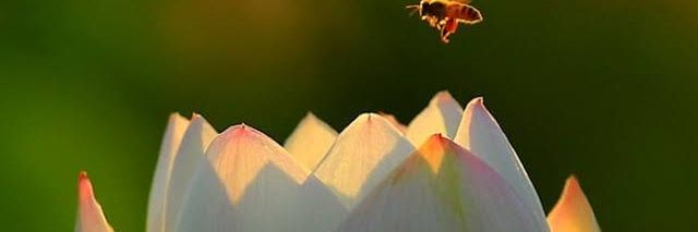 kosarr05's profile banner image
