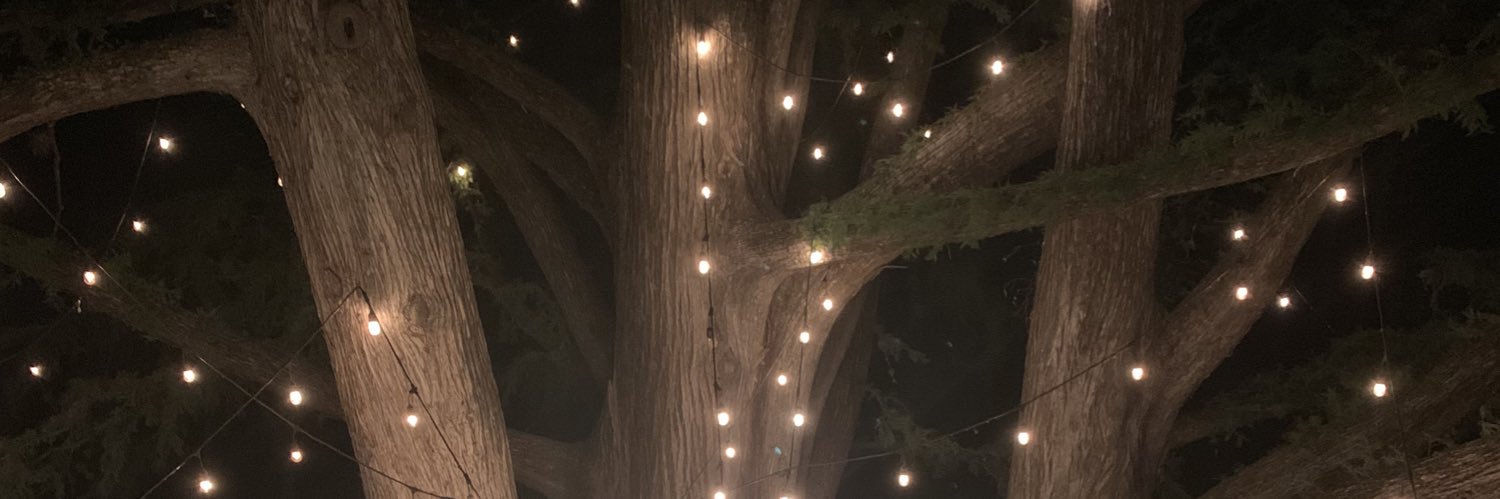 meredithsanger's profile banner image